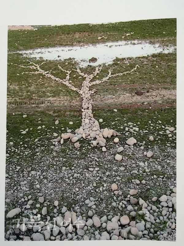 ⧍압돌하미드 누루오바디 '3 Tree' Ⓒ이기자
