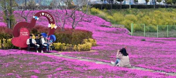 지난 13일 여수엑스포역 주변에 진분홍빛 꽃잔디가 만개한 가운데 수학여행지로 여수를 찾은 대구 시지중학교 학생들이 기념사진을 찍고 있다.