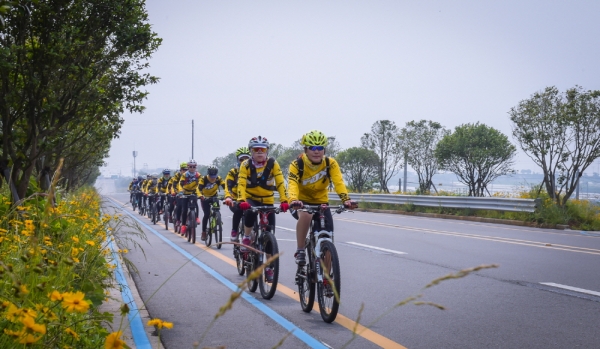 지난해 한 자전거 동호회원들이 금계국이 활짝 핀 소호동~화양면 간 도로에서 자전거 라이딩을 즐기고 있다.