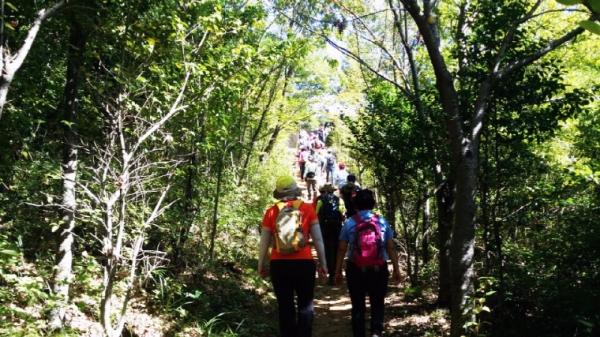 지난해 여수시의 ‘걷기 좋은 길 함께 걸어요’에 참여한 시민들이 무선산 둘레길을 걷고 있다.