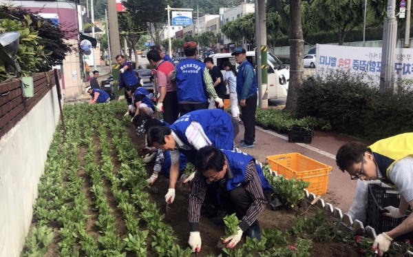 지난 5일 여수시 시전동 사회단체 회원과 공무원 등이 도로변 빈터에 백일홍을 심고 있다. 이날 참여자 30여명은 관내 곳곳에 여름꽃 1500본을 식재했다.