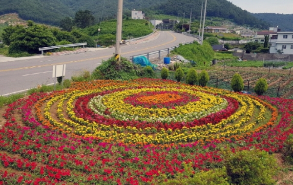 여수시 만덕동 자생단체 회원들이 가꾸고 있는 꽃밭 모습
