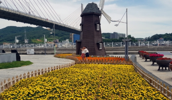 지난 22일 여수를 찾은 관광객들이 노란 메리골드가 만개한 하멜전시관 인근 꽃밭에서 즐거운 시간을 보내고 있다.