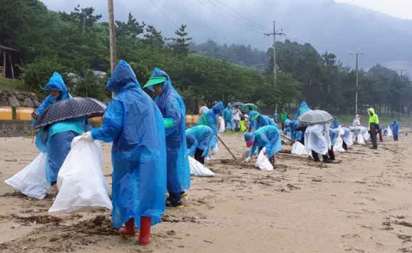 지난 5일 여수시 화양면 새마을지도자들이 장등 해수욕장으로 밀려온 해양쓰레기를 수거하고 있다.