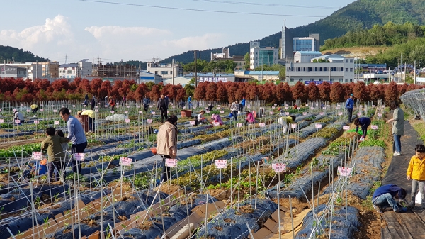 ▲ (지난 2018년 여수시 도시민 친환경 가족텃밭에서 봄작물을 재배하고 있는 시민들의 모습)