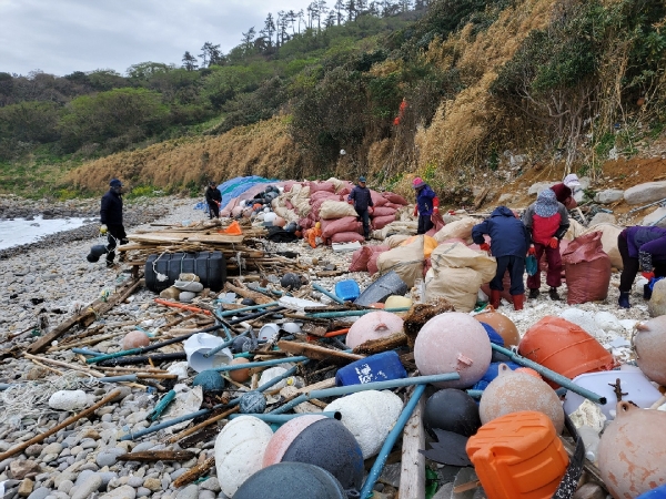 ▲ 바다환경지킴이가 지난 4월 삼산 유촌해변 해양쓰레기 수거작업을 펼치고 있다.