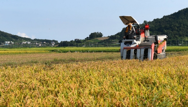 ▲ 여수시는 2021년 벼 재배 수확 농가의 경영안정 도모를 위해 12월 중순까지 경영안정대책비를 지원한다.